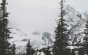 tb_www.innercirclefashion.com_189