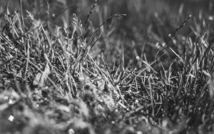 tb_www.innercirclefashion.com_307