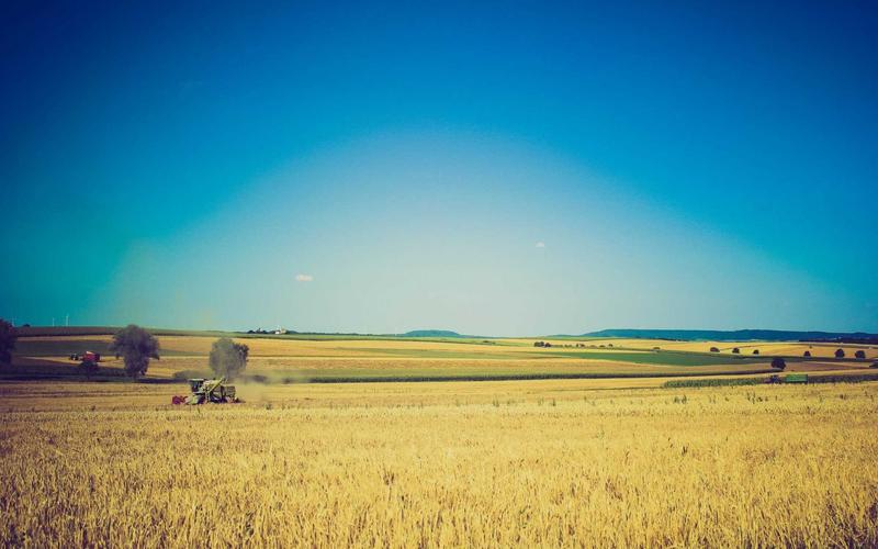 tb_www.innercirclefashion.com_370