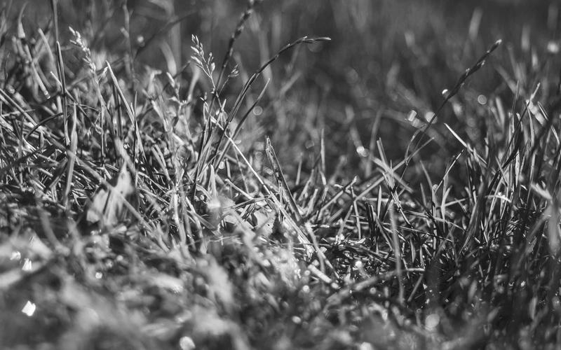 tb_www.innercirclefashion.com_373