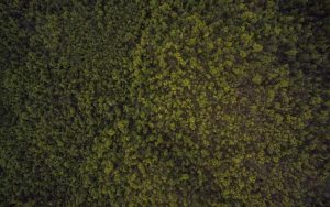 tb_www.innercirclefashion.com_416