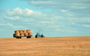 tb_www.innercirclefashion.com_454