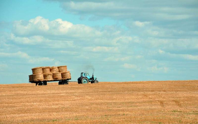 tb_www.innercirclefashion.com_454