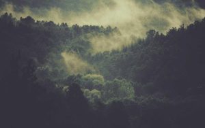 tb_www.innercirclefashion.com_464