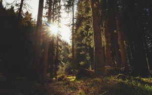 tb_www.innercirclefashion.com_467