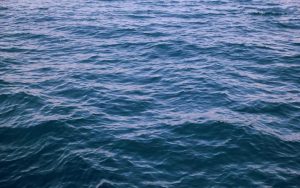 tb_www.innercirclefashion.com_496