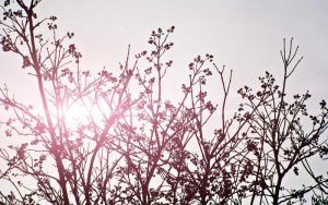 tb_www.innercirclefashion.com_499