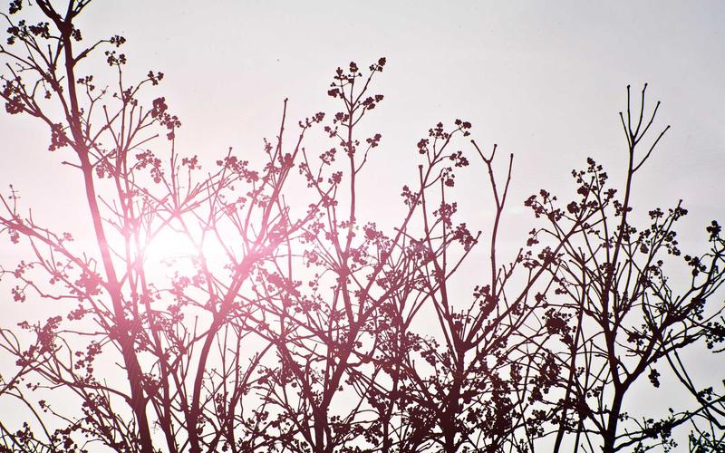 tb_www.innercirclefashion.com_499