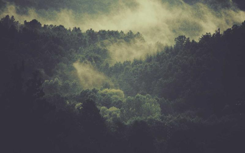 tb_www.innercirclefashion.com_535