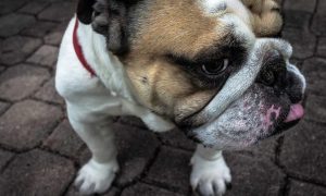 thumb_www.innercirclefashion.com_39