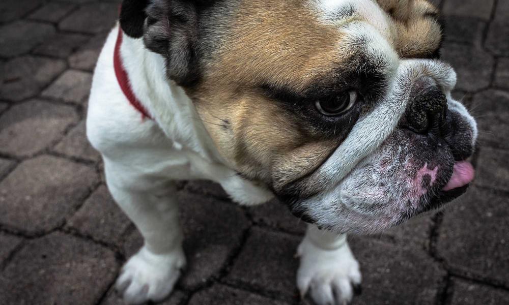 thumb_www.innercirclefashion.com_39